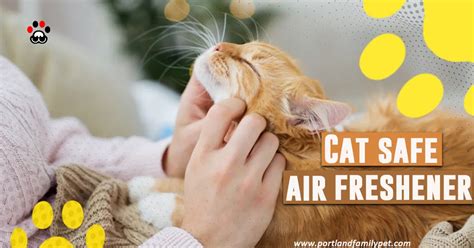 Ensuring a Cat-Safe Home: A Comprehensive Guide to Air Freshener Sprays