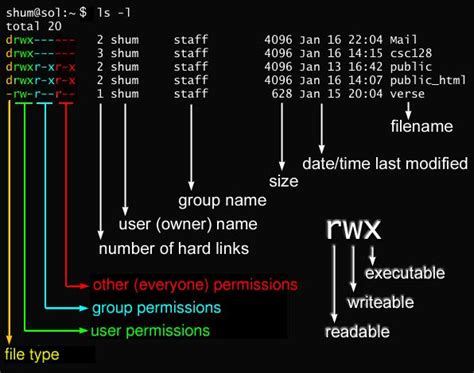 Entenda o Chmod 777: Um Guia Completo para Permissões de Arquivos