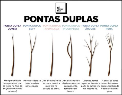 Entendendo as Pontas Duplas