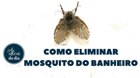 Entendendo o Mosquitinho