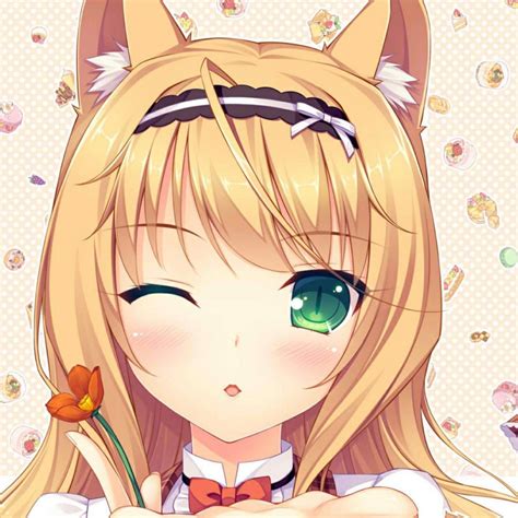 Enter the Enchanting World of Maple Nekopara: A Purr-fect Guide to the Feline Paradise