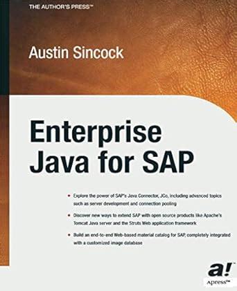 Enterprise Java for SAP 1st Edition Kindle Editon