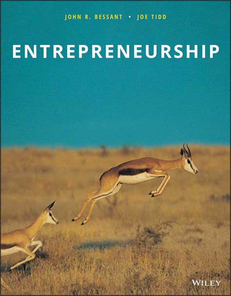 Entrepreneurship Policy 1st Edition Kindle Editon