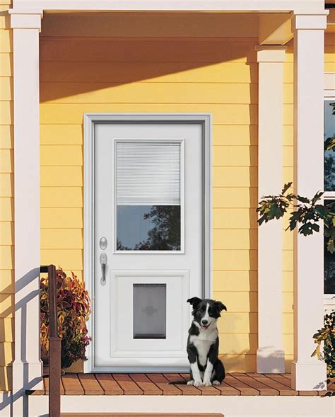 Entry Doors with Doggie Door Built In: The Ultimate Guide for Pet-Friendly Homes