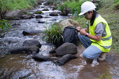 Environmental Engineers: