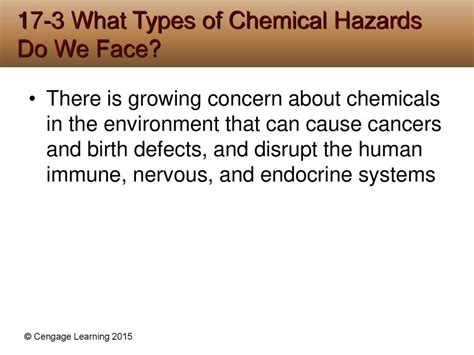 Environmental Hazards: A Growing Concern