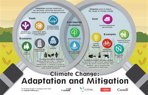 Environmental Health Impacts and Mitigation Strategies