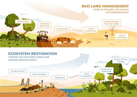 Environmental Restoration: