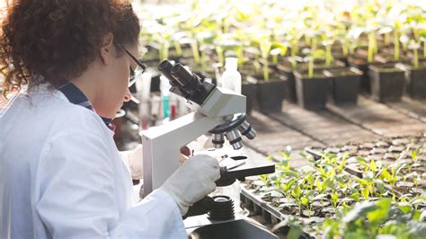 Environmental Scientists: