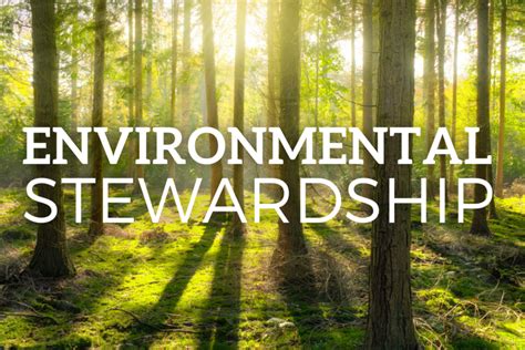 Environmental Stewardship: A Cornerstone of Twist Green No. 41