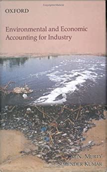 Environmental and Economic Accounting for Industry 1st Edition Epub