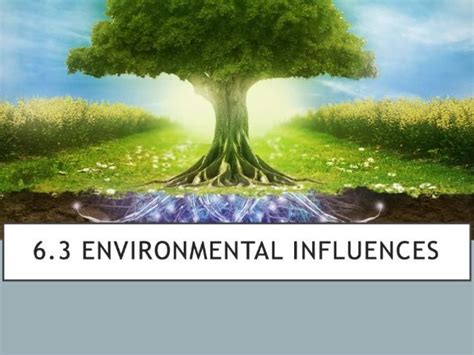 Environmental influences: