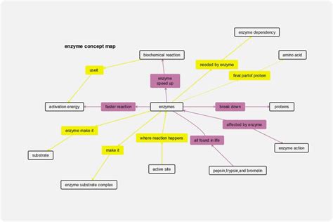 Enzyme Concept Map Answers Doc