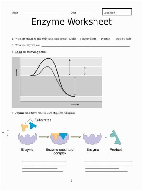 Enzyme Lab Answers Kindle Editon