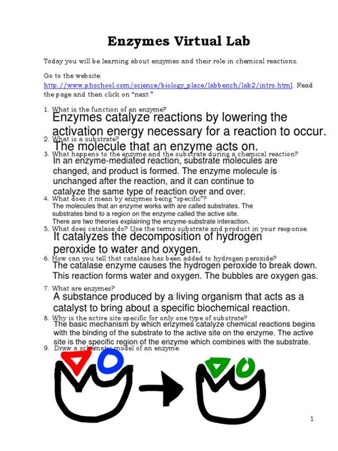 Enzyme Virtual Lab Answer Key Kindle Editon