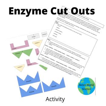 Enzyme cut out activity answers key Ebook Epub