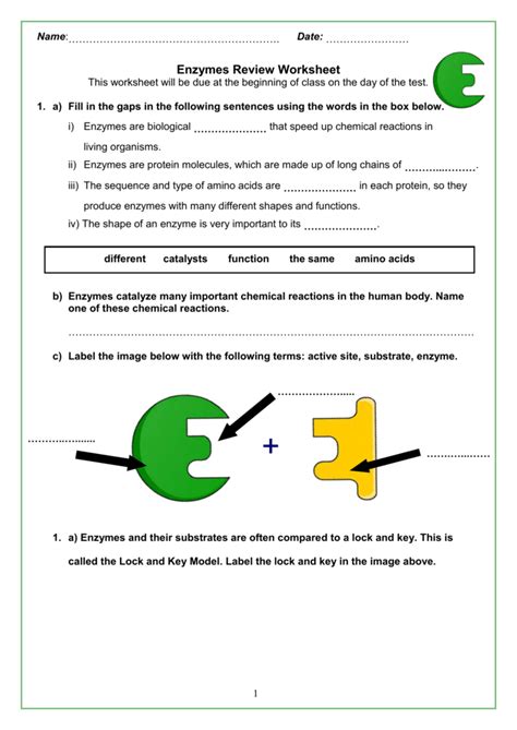 Enzymes Worksheet Answers Kindle Editon