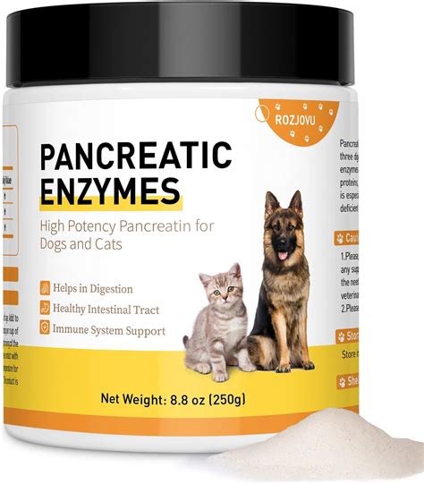 Enzymes for Dogs: The Key to Optimal Health