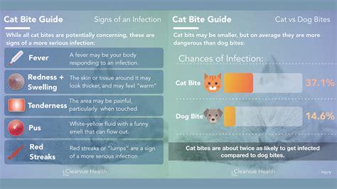 Epidemiology of Cat Bite Infections