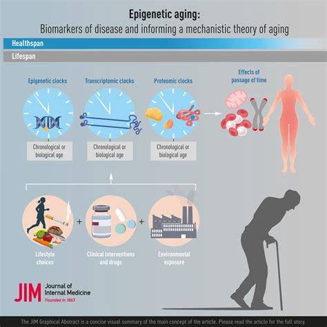 Epigenetics of Aging Reader