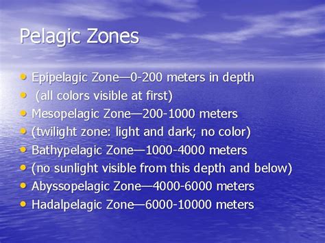 Epipelagic Zone (0-200 meters):