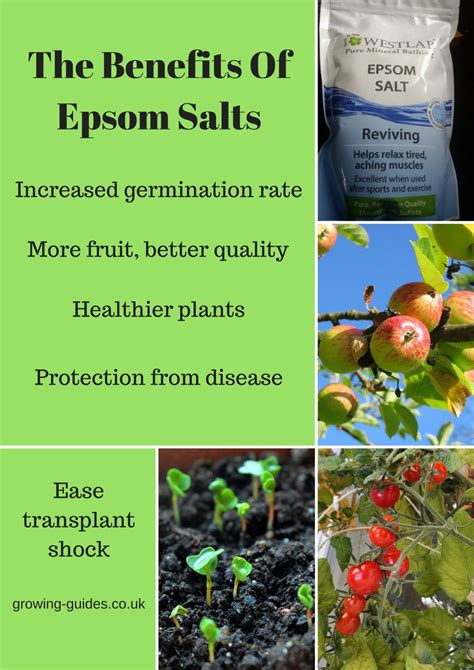 Epsom Salt Near Me: 97 Phenomenal Benefits, 39 Extraordinary Uses, and 4 Amazing Recipes