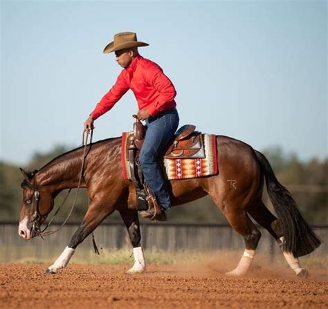 Equestrian Elegance: Unveiling the Enchanting World of Horse Costumes