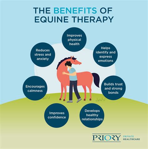 Equine Therapy Colleges: A Path to Transformation Through Human-Animal Connection