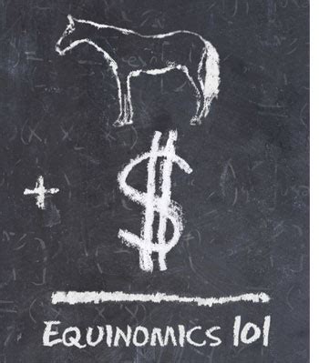 Equinomics The Secrets to Making Money with Your Horse Business Doc