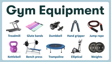 Equipment Essentials: Understanding the Gym's Tools