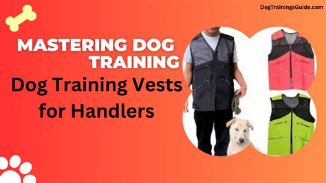 Equipping Your Service Dog: A Comprehensive Guide to Training Vests