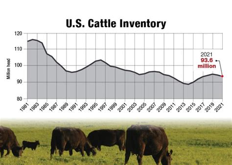 Equity Livestock Market Report Today: A Comprehensive Analysis of Key Trends and Factors