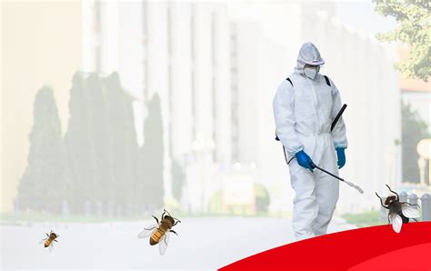 Eradicating Pests with Expertise and Dedication