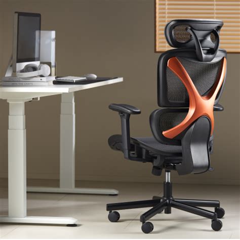 Ergonomic Posture Enhancement: