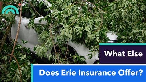 Erie Auto Insurance Quotes: 2023 Guide to Saving Hundreds