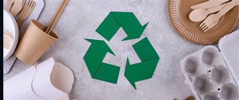 Eriksson Bros AB: A Global Leader in Sustainable Paper Production