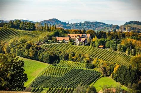 Erlebe die gastronomische Reise durch Gamlitz: Ein Weinparadies inmitten der Südsteiermark