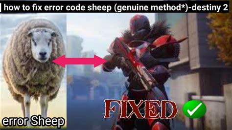 Error Code Sheep: A Comprehensive Guide