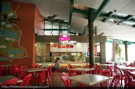 Escape into the Enchanted Realm of Mushroom Cafe MacRitchie