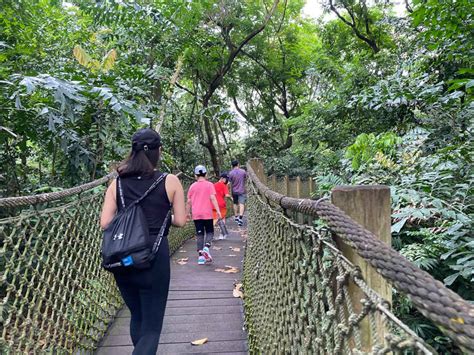 Escape to the Tranquility of Sungei Buloh Wetland Reserve: Your Ultimate Guide