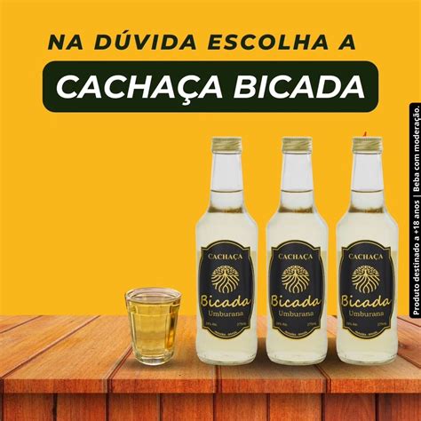 Escolha a cachaça certa: