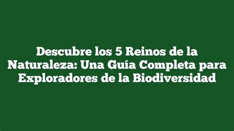 España: Una Guía Completa para Exploradores Excéntricos