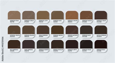 Espresso Brown - The Color of Comfort and Confidence