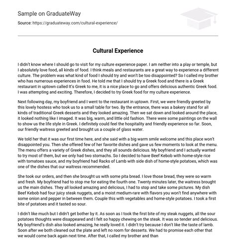 Essay 1: Cultural Experience