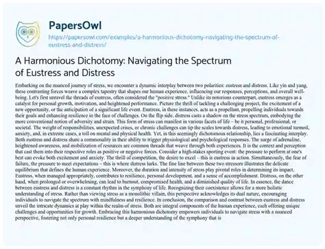 Essay Requirements: Navigating the Spectrum