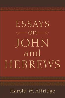 Essays on John and Hebrews Doc