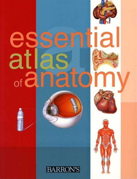 Essential Atlas of Anatomy Kindle Editon