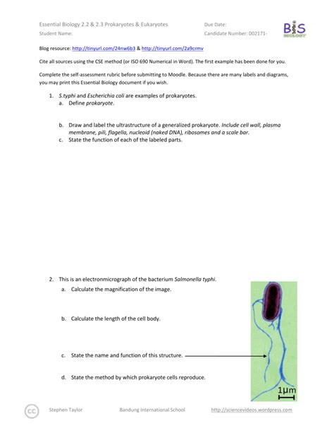 Essential Biology 02 Answer Reader