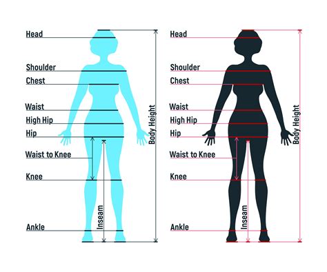 Essential Body Measurements for Dress Sizing: