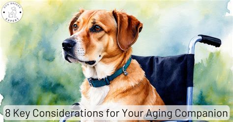 Essential Considerations: Pet Health and Aging in 2025 and Beyond